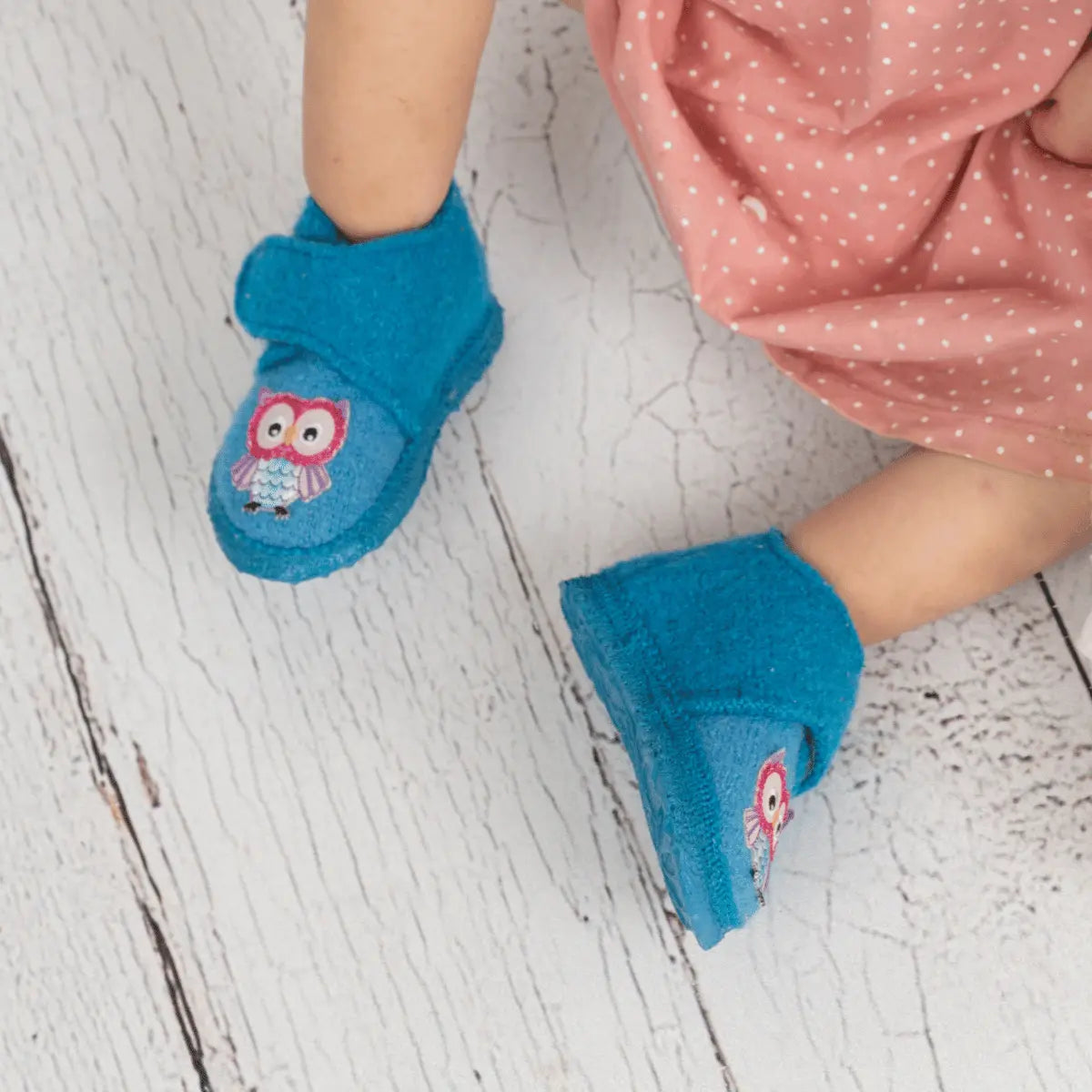 Little Owls in türkis